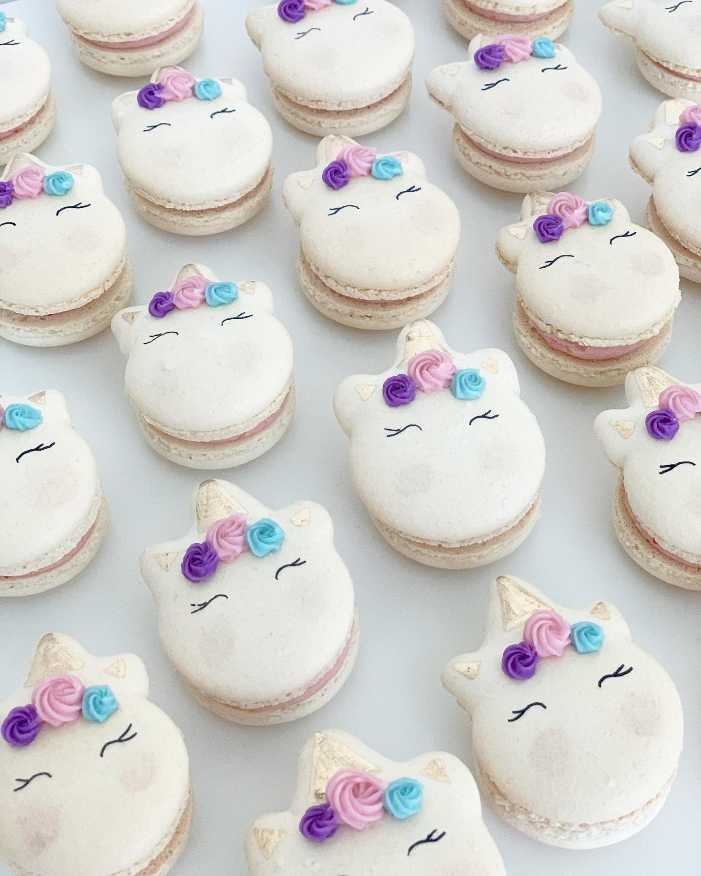 Unicorn Macarons