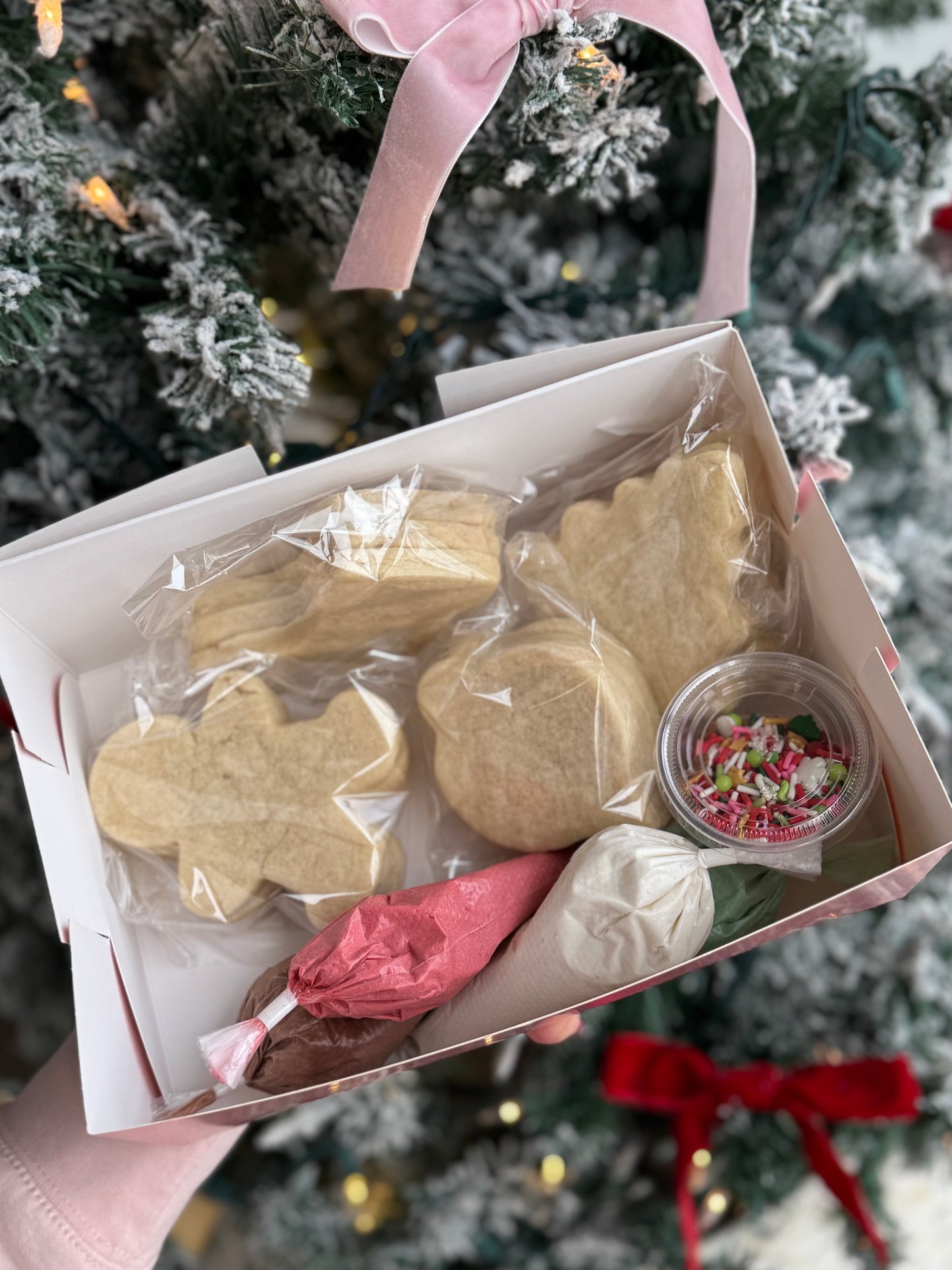 Christmas Cookie Decorating Kit