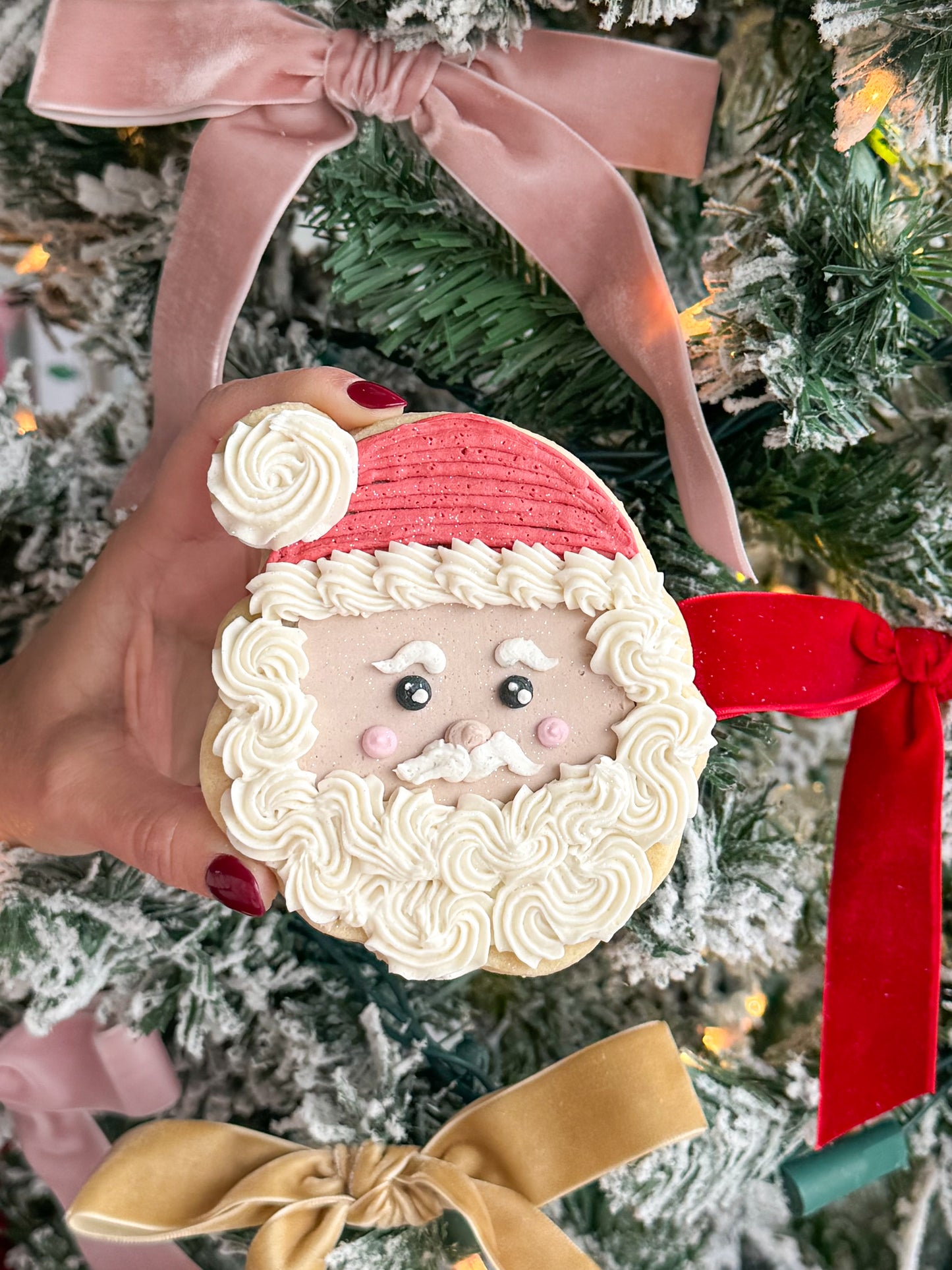 Large Santa Cookie