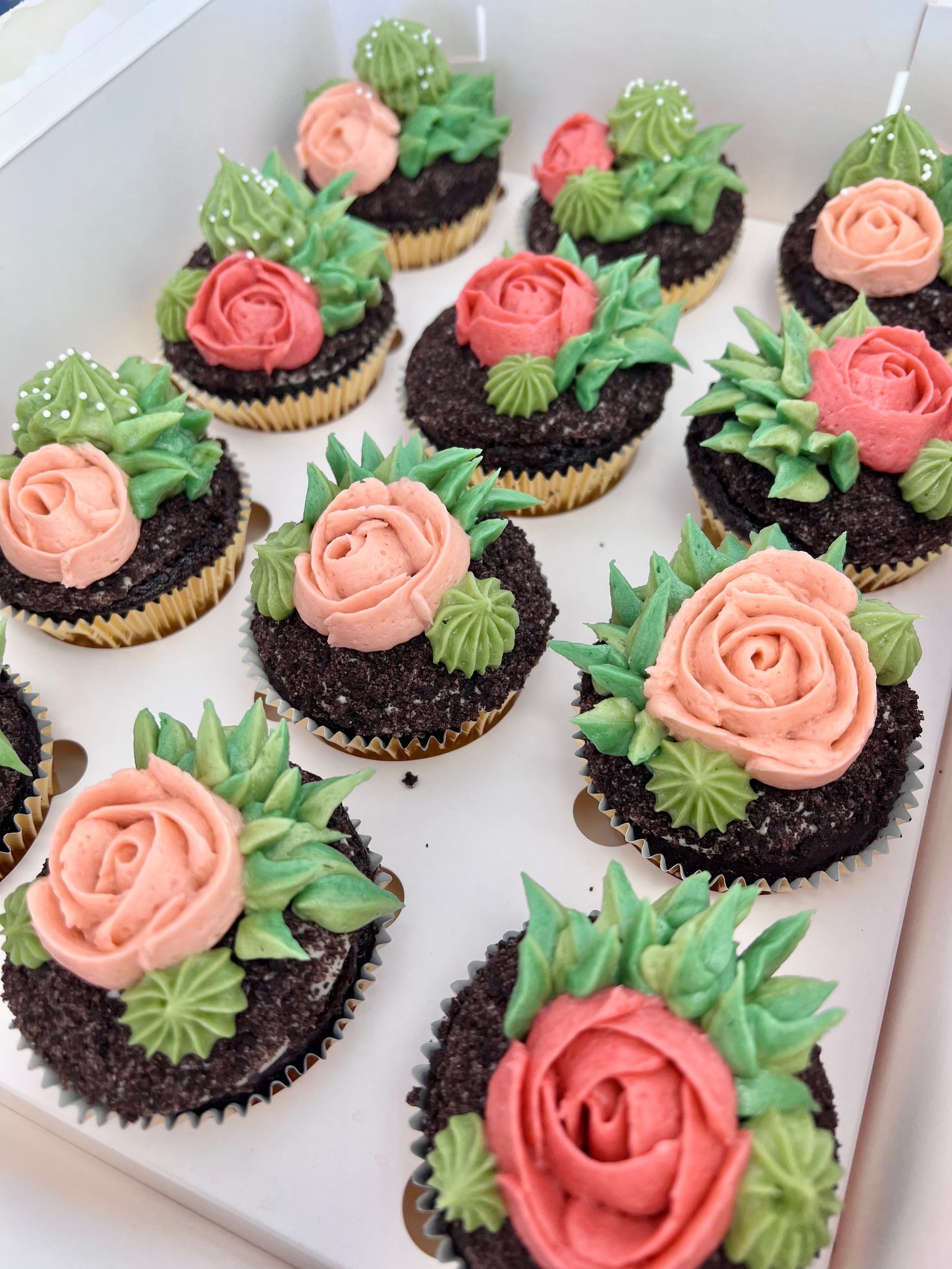 cupcakes with succulents Succulents Cupcakes
